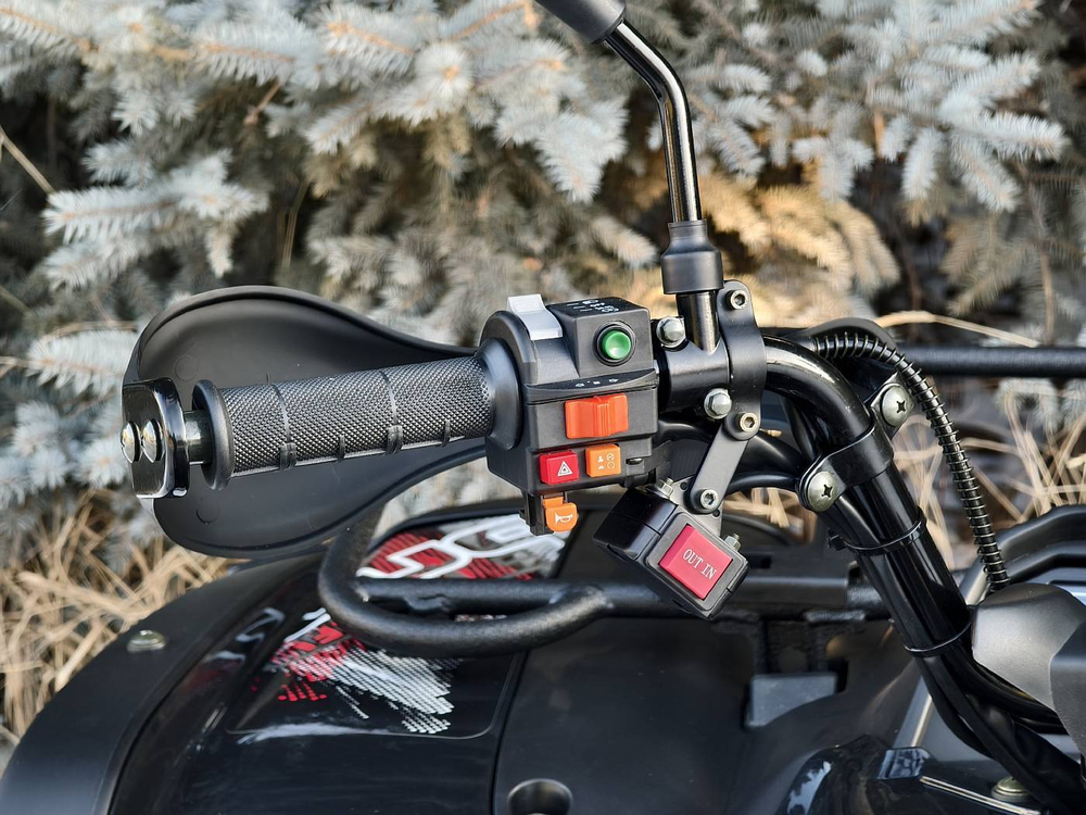Квадроцикл BALTMOTORS BM500 EFI Черный