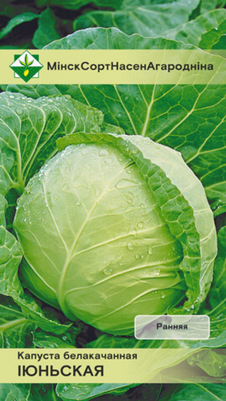 Капуста б/к "Июньская " 0,5г, Германия.