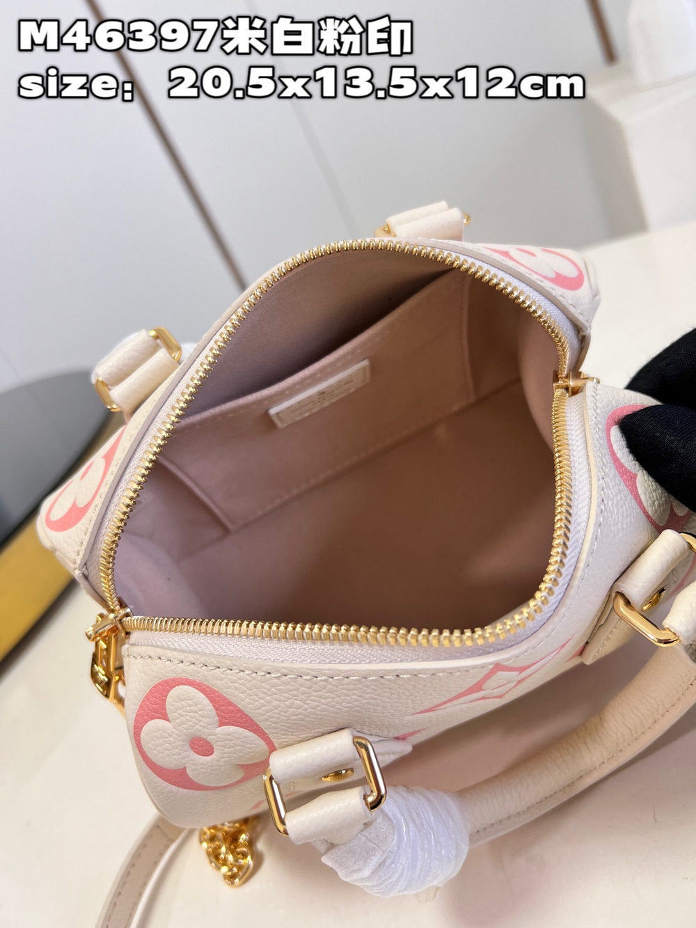Louis Vuitton Speedy 20