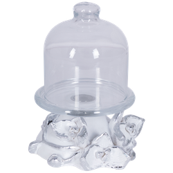 Лимонница Орхидея Лайм Белая