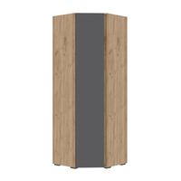 Хелен ШК 04 Шкаф угловой Крафт золотой / Графит серый