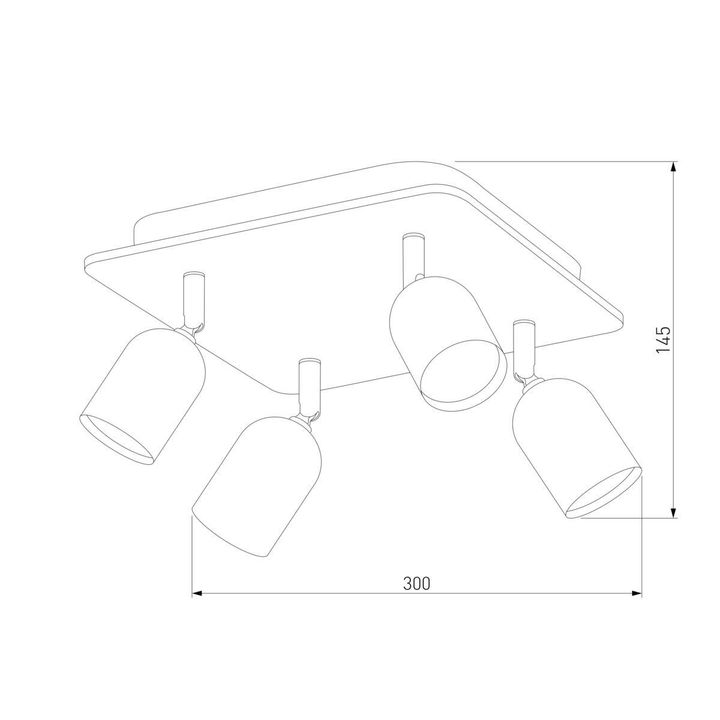 Спот TK Lighting 4418 Top