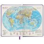 Ежедневник недатированный А5 138х213 мм BRAUBERG "Iguana", под кожу, 160 л., сиреневый, 114455