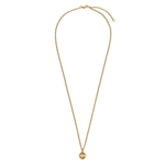 Колье Dyrberg Kern ETTE SG GOLDEN 350844 BR/G