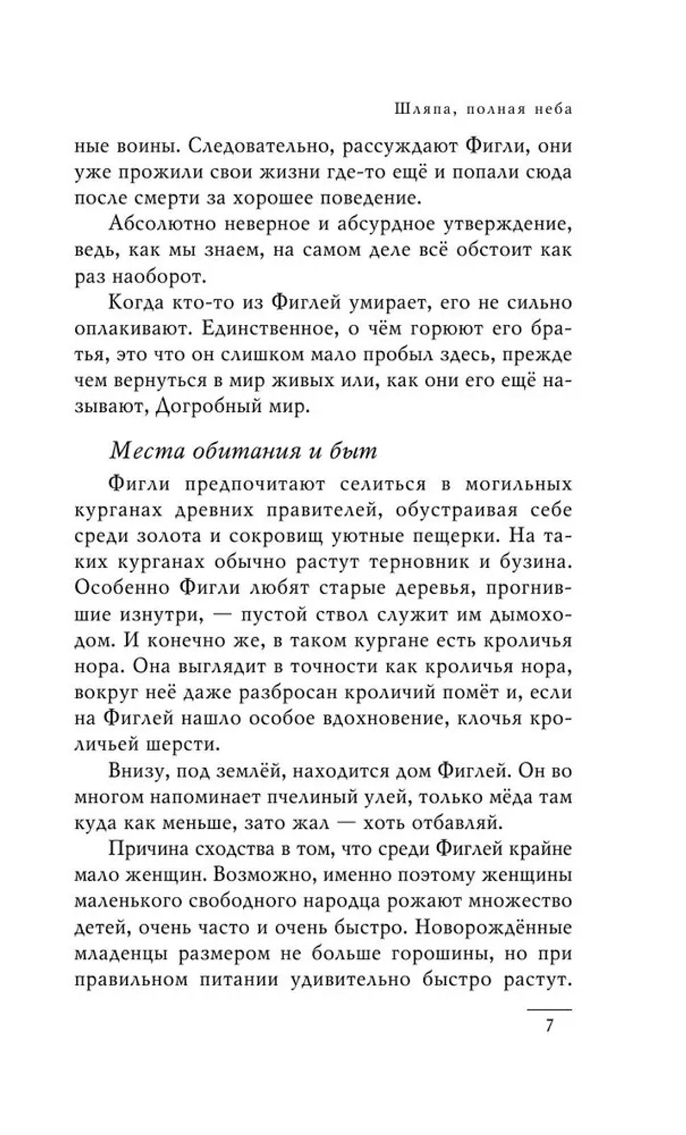 Шляпа, полная неба