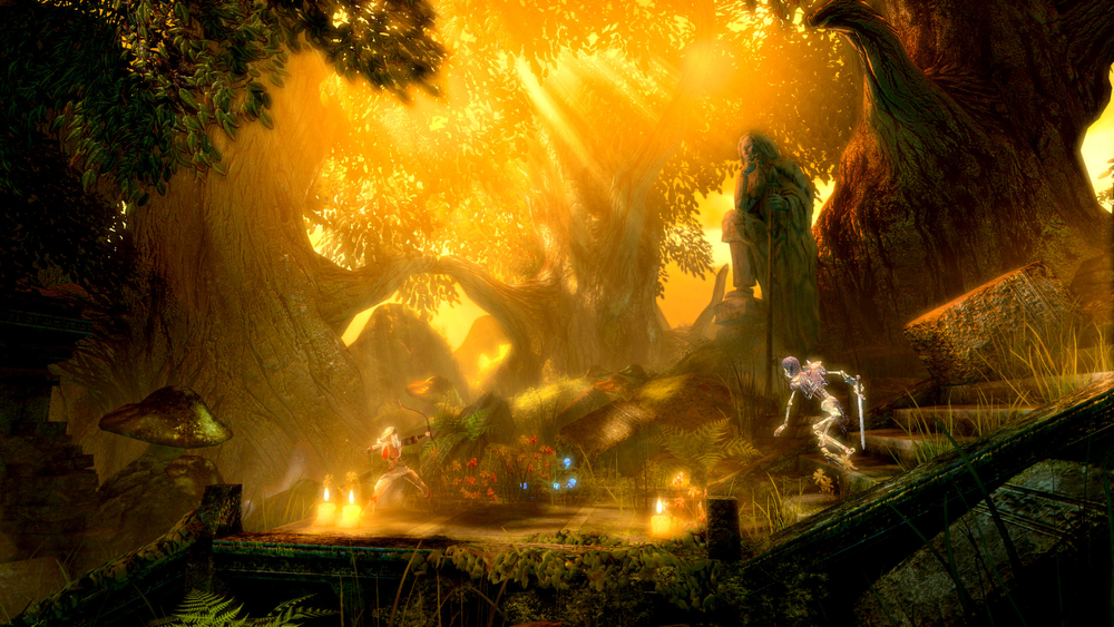 Trine Enchanted Edition (для ПК, цифровой код доступа)