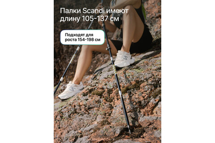 Палки для скандинавской ходьбы RoadLike Scandi