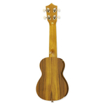 ARIA AU-1KG Укулеле сопрано