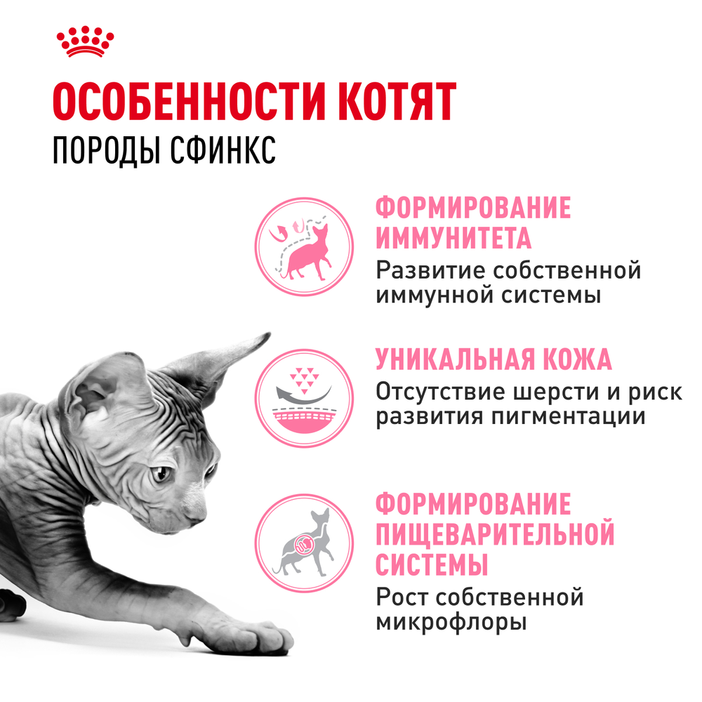 Royal Canin Sphynx Kitten Киттен Сфинкс Корм сухой для котят породы Сфинкс в возрасте от 4 до 12 месяцев 400г