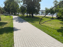 Тротуарная плитка ВАН, форма Квадрат 100*100, h=60мм