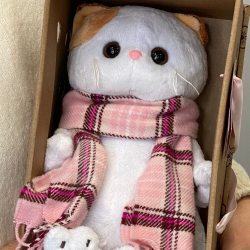 Кошка Ли-Ли