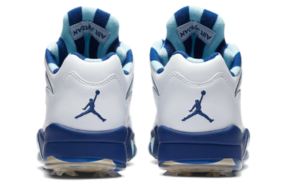 Кроссовки Jordan Air Jordan 5 Low Golf "Grape Ice"