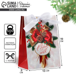 Пакет подарочный новогодний с лентой «Новый год», 13 х 19 х 9 см, 10346346