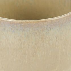 Чайная пара Gipfel Meadow 51990 170 мл