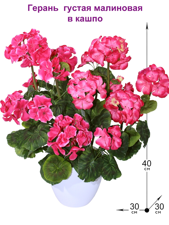 Искусственные цветы Герань малиновая густая 40см в белом кашпо