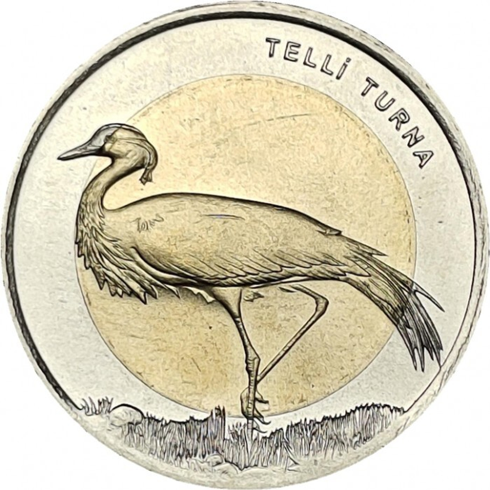 Журавль-Красавка