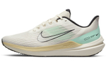 Кроссовки Nike Zoom Winflo 9