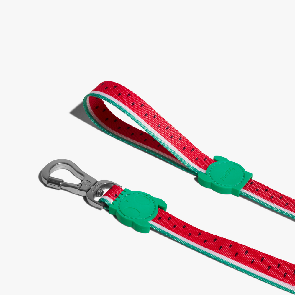 Поводок LOLA 120 см Zee.Dog