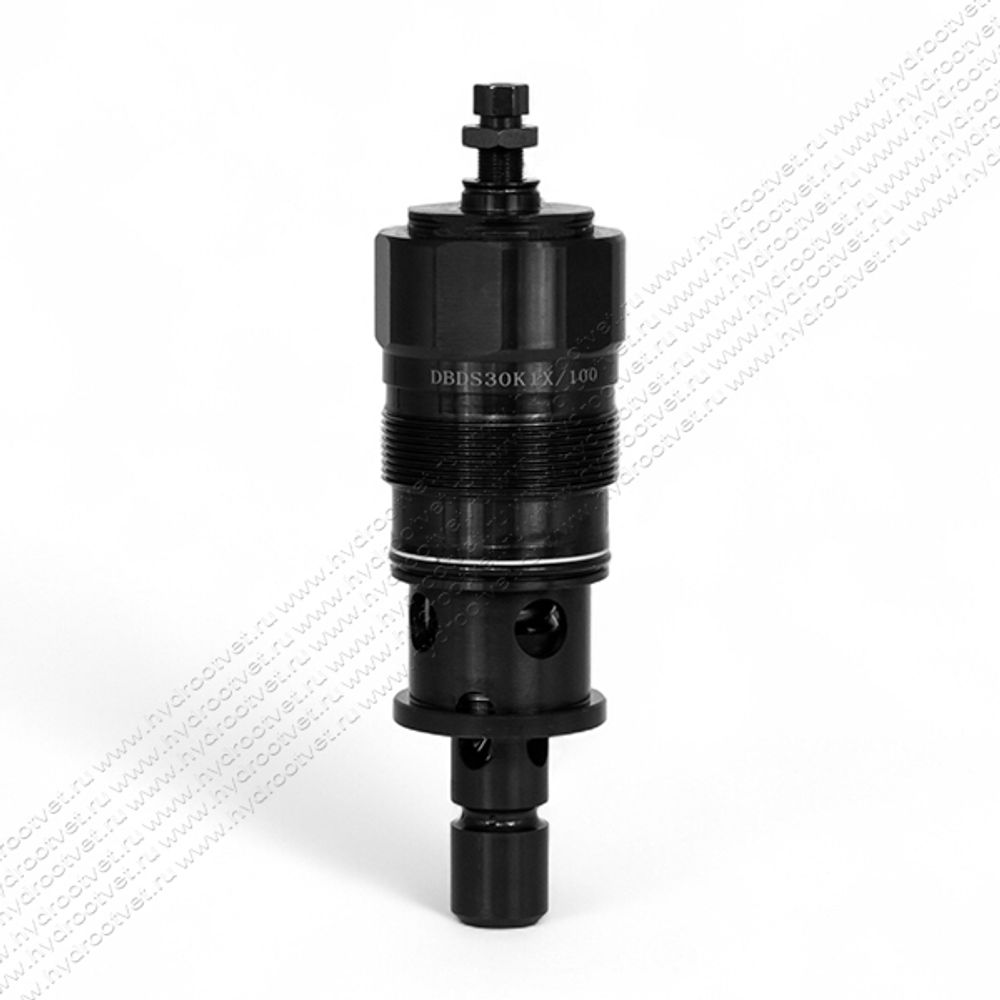 DBDS30K1X/100