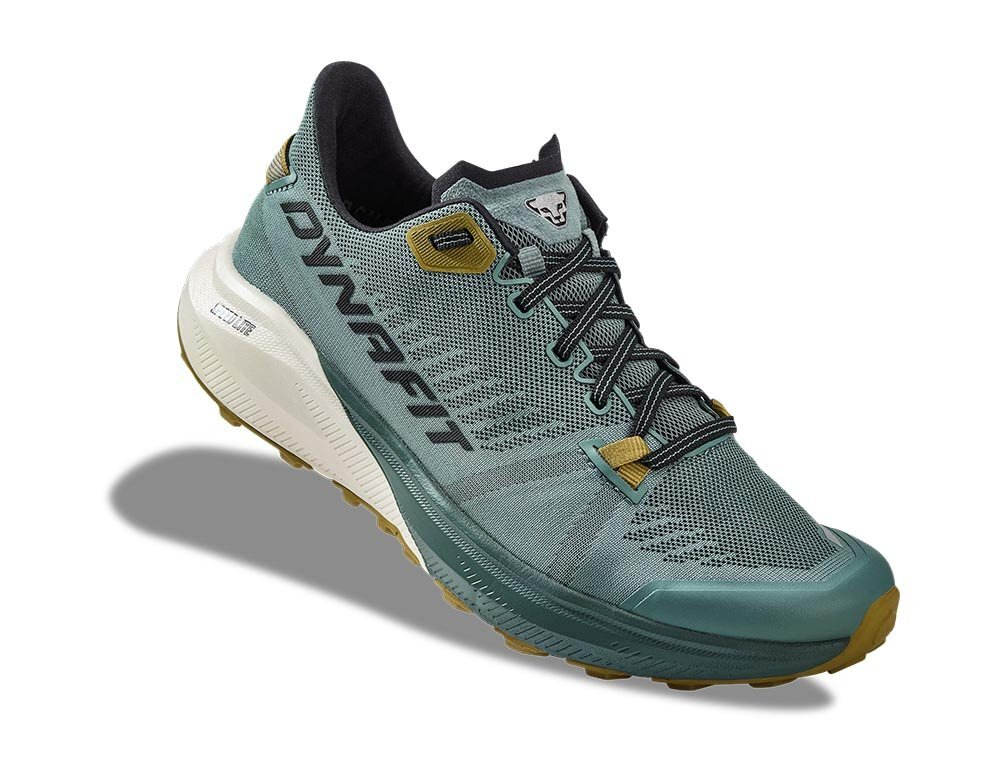 Кроссовки для бега мужские Dynafit Trail Atlantic Black Out M Сине-Зеленый