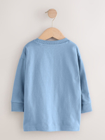 Футболка с длинным рукавом для мальчика Next F59-415, Голубой