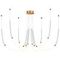 Подвесная люстра Odeon Light MONELLA 6639/70L