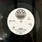 Opeth / The Last Will And Testament (2LP)