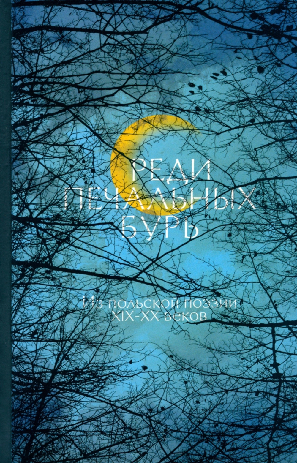 "Среди печальных бурь". Из польской поэзии XIX-XX веков