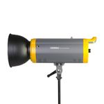 GreenBean SunLight 100 LEDX2 BW