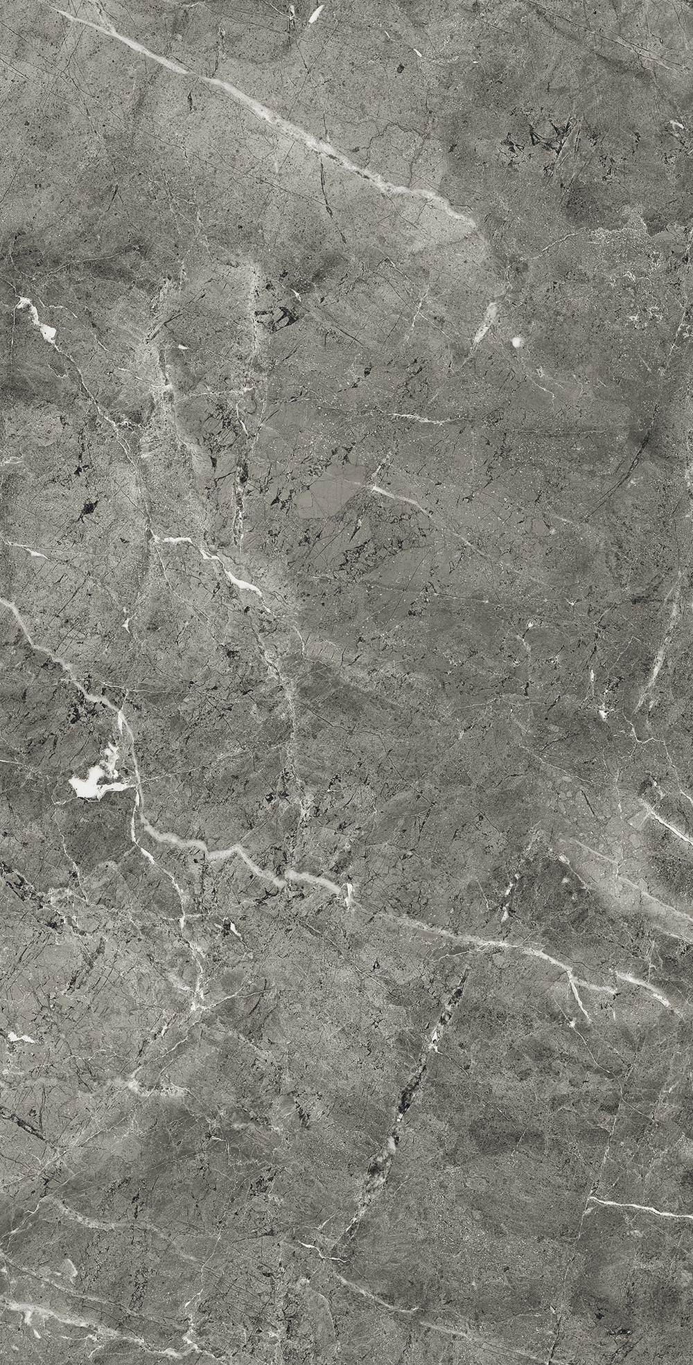 Керамогранит, Arcadia Ceramica, FLORENCIA GREY, 1200x600 мм, полированная