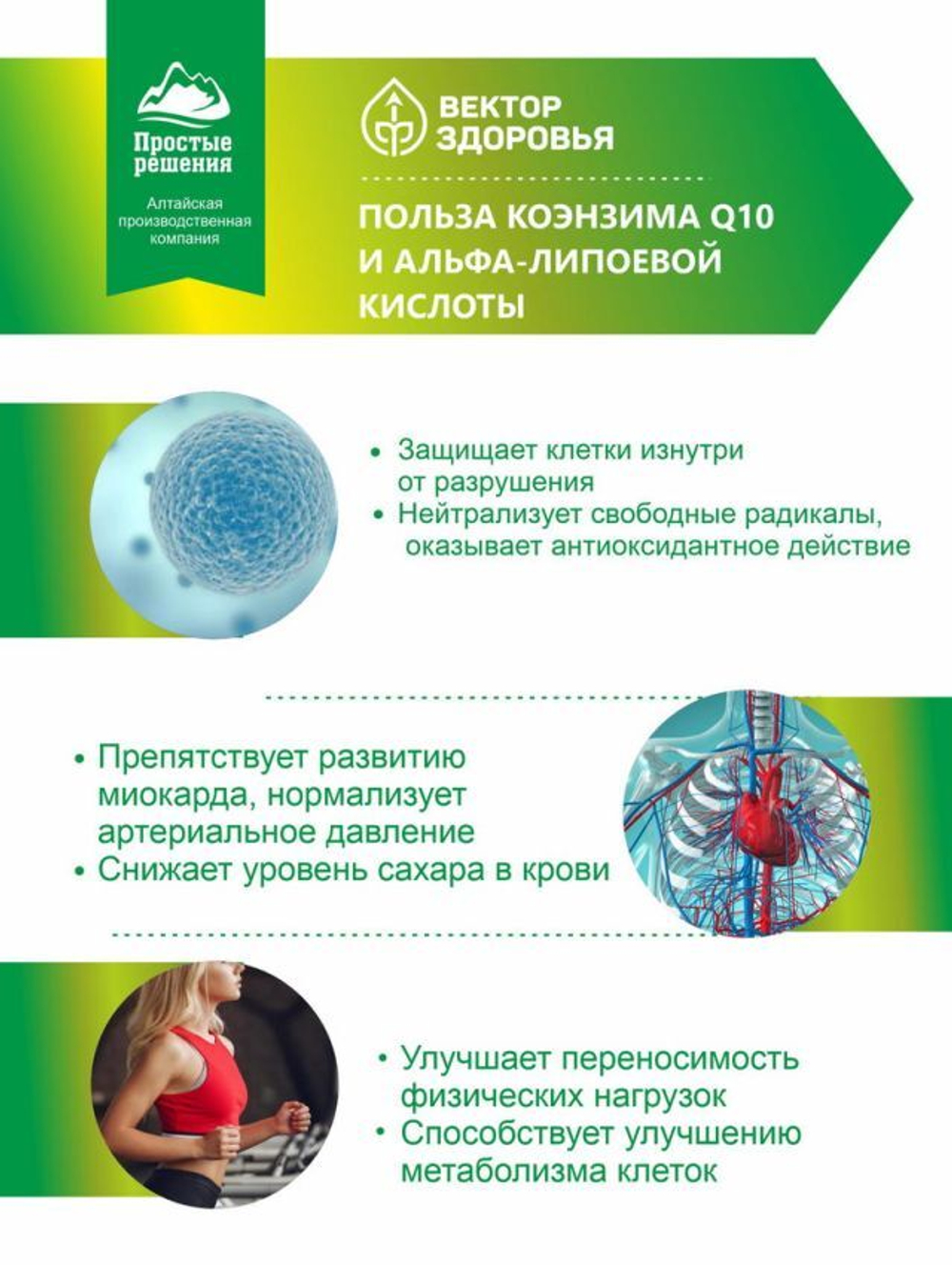 Комплекс Коэнзим Q10 + Альфа-липоевая кислота, 60 капсул