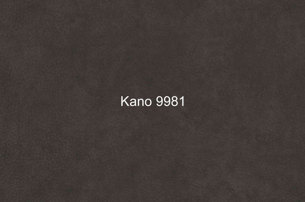Микрофибра Kano (Кано) 9981