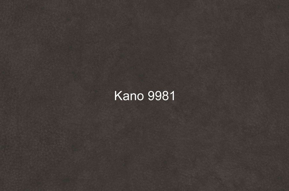 Микрофибра Kano (Кано) 9981