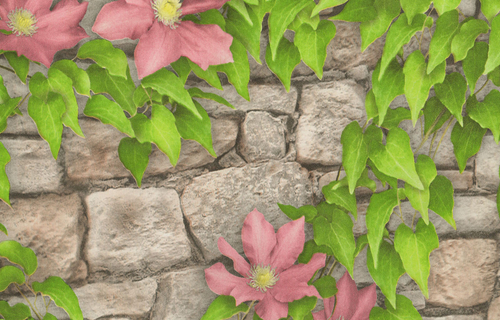 Обои Клематис 4 Брянск