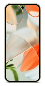 Google Pixel 9 5G 12/256Gb (Porcelain)