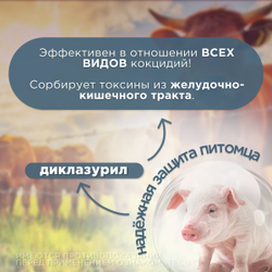 Диклакокс, 10шт по 10мл в упаковке, высокоэффективный комплексный кокцидиостатик