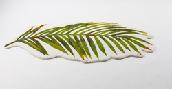 Коврик 80х160 Abyss & Habidecor Пальма 165 белый/зеленый