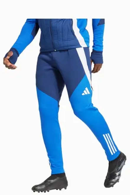 Штаны adidas Tiro 24 Competition Winterized - синий