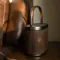 Bang & Olufsen Beosound A5 Dark Oak