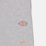  Шорты мужские Dickies Mapleton артикул:DK0A4Y83GYM1 - купить в магазине Дайс