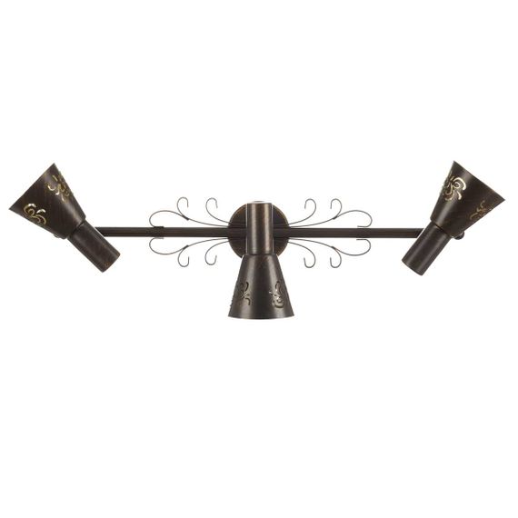 Спот Citilux Дункан CL529531