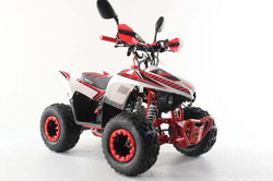 Квадроцикл MOTAX Mikro 110 NEW