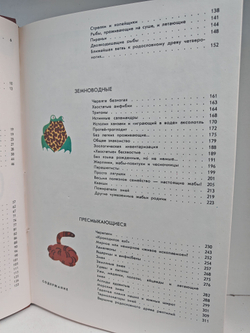 Мир животных. Рассказы о змеях, крокодилах, черепахах, лягушках, рыб