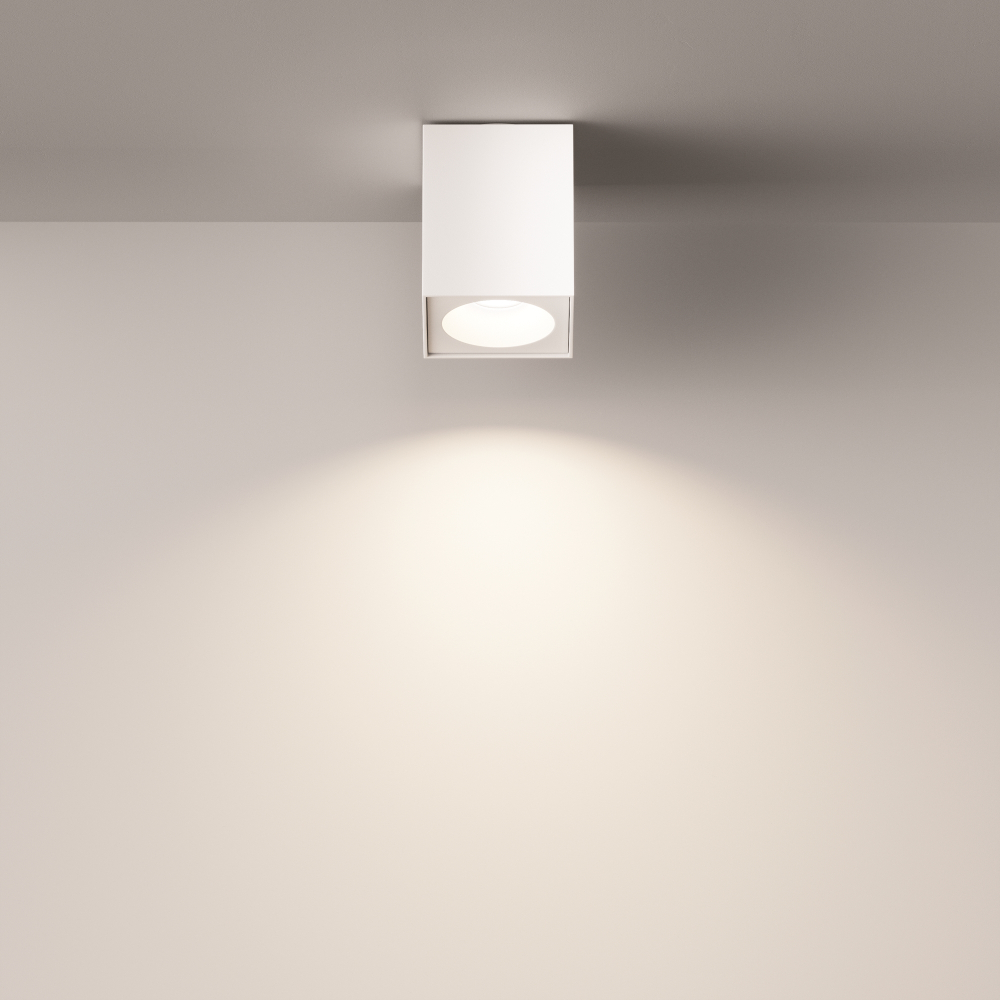 Потолочный светильник Technical C030CL-01W