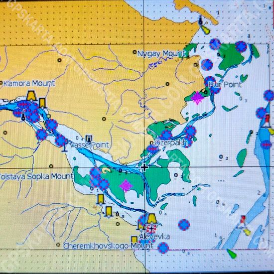 Амур, Амгунь, Тунгуска, Дальний Восток  для Lowrance / Simrad / B&G  C-MAP MAX-N+ RS-Y505