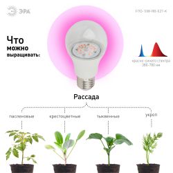 Фитолампа для растений светодиодная ЭРА FITO-10W-RB-E27-K красно-синего спектра 10 Вт Е27 | Фитолампы Е27