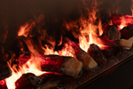 Очаг Royal Flame Design L1500RF 3D PS/LOG