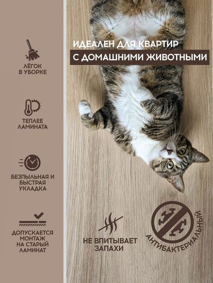 SPC ламинат I-Floors Chamfer 4v - Дуб Уссурийский