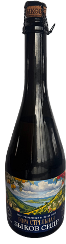Сидр Быков Сидр Гора Стрельная / Bykov Cider Gora Strelnaya 0.75 - стекло