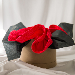 шоурум для танцев